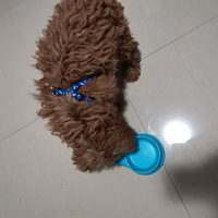 һĸµĸ̩ϣÿɰ ˹æ 1800