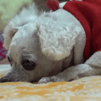 ʹͱȮ±ӣһˣ