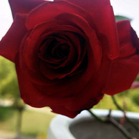 ��ů���������޹���[