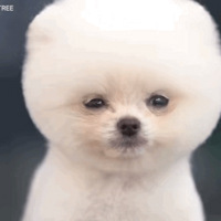 ѹСọ̈̄Ҳ̫ɰ˰ɣ