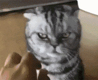 ̲ܿɽ䡱ҽ3ҩһԽ