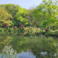 ����������������߱�����