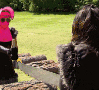 ����ͮN��ǰ������־�ᡢ�����ġ���С贾����������仯�󵽲���