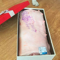 �����⡿������͸����������������ʲô��