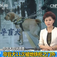 �����ܱ��۸��ޣ�ȫ����6000���������Ϊ�ξ��ݲ��µ�äȮ