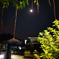 51����һ��