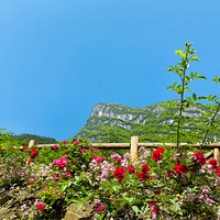 £ʻʢ