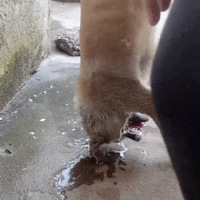 ˣʱͻȻж·˵һٶȻ