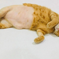 è������������ë�����������û���ڿ㣿����