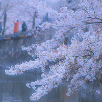 ����ӣ��ͼ����ը����ϧ�����ӣ�����Ѿ���ȥ��