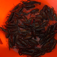 ����һͰ���Ʋ� ���� ������������Ϻ