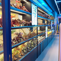 ������̩�����˾��ֲ�����