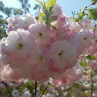 ����������������ӣ������������ģ�