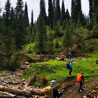 �й�����ɭ��֮һ�����½�ѩ����ɼ��