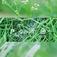 ̵ɫ