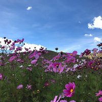 Ҫ����һ�����ء��½����������ԭ