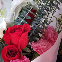 ��л�ҵı���[����][����]