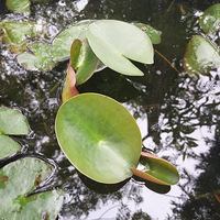 �����˯��