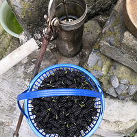 ������ѵĶ��������ˡ���ժ����ϧ�ɡ�