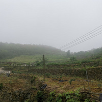 һ���帣��ֻ������¯�̡�