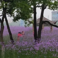 ���ݵ�����С�ڻ��������տ���Լ������~