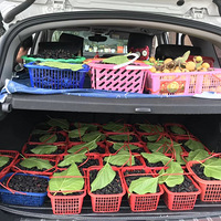 ������������ɣ��