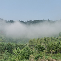 ��ĩż�����ٰ��ϼң���������˼��������