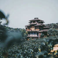 �ҵĺ��ݣ�������Ǹ����س���ѽ��