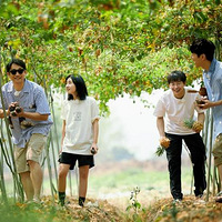 ������������4��������һ��ȥ�й���߶����Ƿ���ĵط����߰�