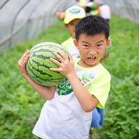 �����£���ʯ������