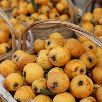 ��ɽ��÷��������ݮ�����³����ӣ���������...ˮ���Ե��ţ�