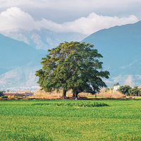 ���ʺ�����ȥ�����е�TOP6��ȥ��2���̲�ס����