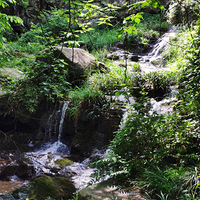 �Ĵ���� ��������� �������úÿ죬������Ϣ����֪������