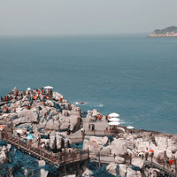 �ڸ��ݱ���������һ�����ɰ��С����~