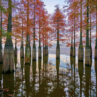 ˽�صļ���С�ط����������еع�һ��������ĩ~