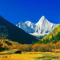 ���������ڵ������ؾ�������һ���۸���