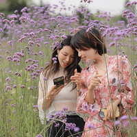 520������������Լ��