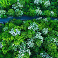 �����㽭�����ǣ����¾�����ѩ���ˣ�