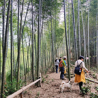 5�����ͽ�������Ƽ�4��С��ɽ��ŵ������������¸߶ȣ�