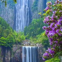 �������ݣ���Щ���ξ�����Ѷ��⿪��