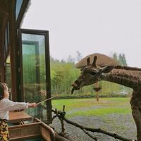 �����ܱߵ�����桰�����ǡ������볤��¹�����