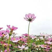 ���������ຼ�ߴ󻨺�������Ϯ����ط��������˼��ɾ�~