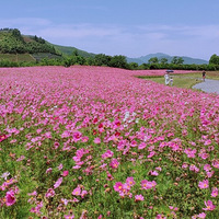 ��ɽ����һ����~