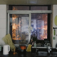 һ����ȥ���ţ���һ�����������飿