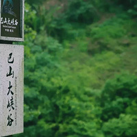 ��ɽ��Ͽ���������͵������������ѷ죡