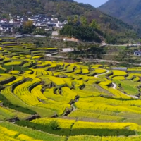 �״η������㽭ʮ����þ�Ʒ��·���ˣ���ɶ��ɶ������