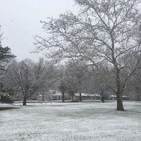 �Ƿ�����chat to asiaafrica�������Ӽ�֮ʮ�����������ĵ�һ��ѩ