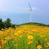 ����ȥ���������ſھ��С����鿥ʽ����С���Լݹ�·��