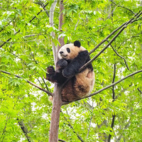 CNN�����й�14�����γ��У�����һ����һ�����⣡