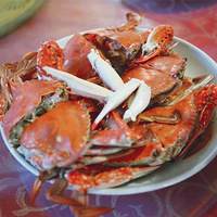 ���ڰ桱ʥ�����ᡰ��ס��Ѩ�Ƶ꣬ȥ�����˶�˵����